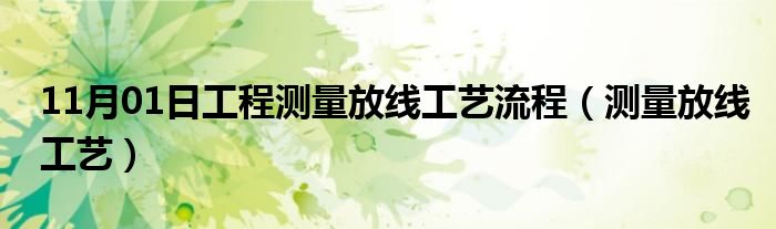 11月01日工程测量放线工艺流程（测量放线工艺）