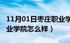 11月01日枣庄职业学院怎么样2021（枣庄职业学院怎么样）