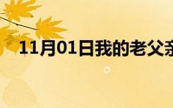 11月01日我的老父亲歌词（我的老父亲）