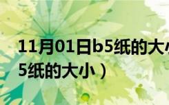 11月01日b5纸的大小和a4的区别是什么（b5纸的大小）