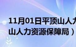 11月01日平顶山人力资源保障局局长（平顶山人力资源保障局）