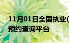 11月01日全国执业(助理)医师资格考试成绩预约查询平台