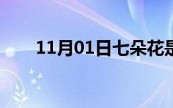 11月01日七朵花是什么意思（七朵）