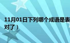 11月01日下列哪个成语是表示夫妻情深的（下列哪个成语用对了）