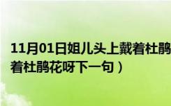 11月01日姐儿头上戴着杜鹃花呀下一句怎么接（姐儿头上戴着杜鹃花呀下一句）