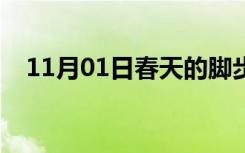 11月01日春天的脚步歌曲（春天的脚步）