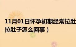 11月01日怀孕初期经常拉肚子是怎么回事啊（怀孕初期经常拉肚子怎么回事）