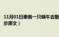 11月01日牵着一只蜗牛去散步原文阅读（牵着一只蜗牛去散步原文）