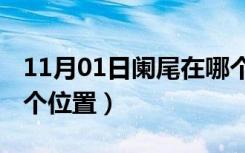 11月01日阑尾在哪个位置痛 图解（阑尾在哪个位置）