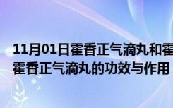 11月01日霍香正气滴丸和霍香正气液的区别的功效与作用（霍香正气滴丸的功效与作用）