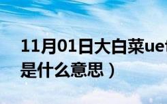 11月01日大白菜uefi装win10（大白菜uefi是什么意思）